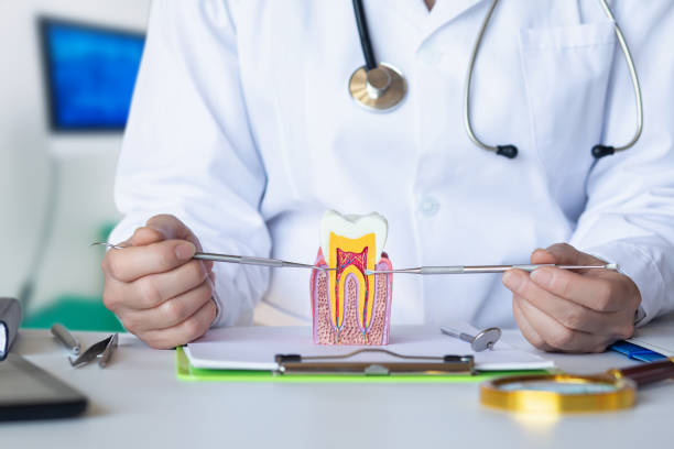Best Root Canal Emergency Dentist  in Depoe Bay, OR